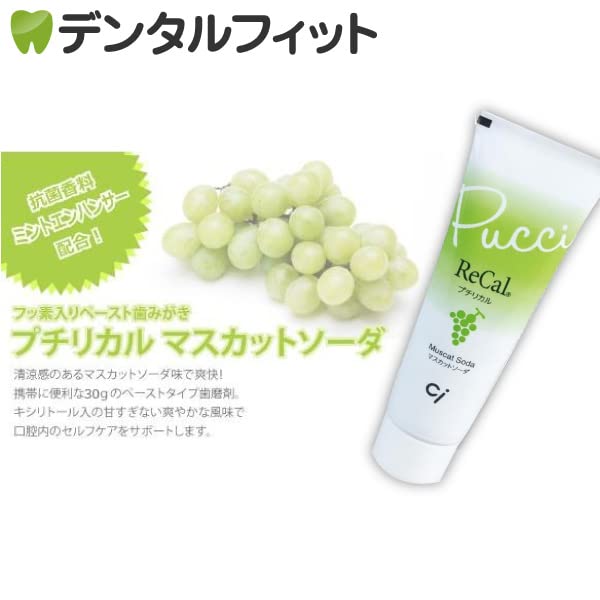 Ci메디컬 푸치리칼 치약 마스캇소다 30g 8개입 휴대용 세트 이미지 2