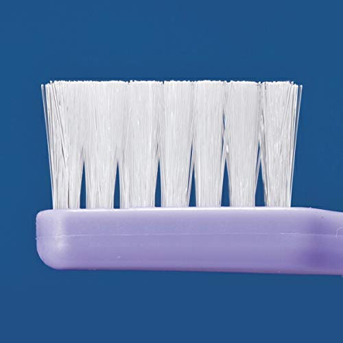 Ci메디컬 CiPRO 칫솔 S 부드러운모 10입 이미지 2
