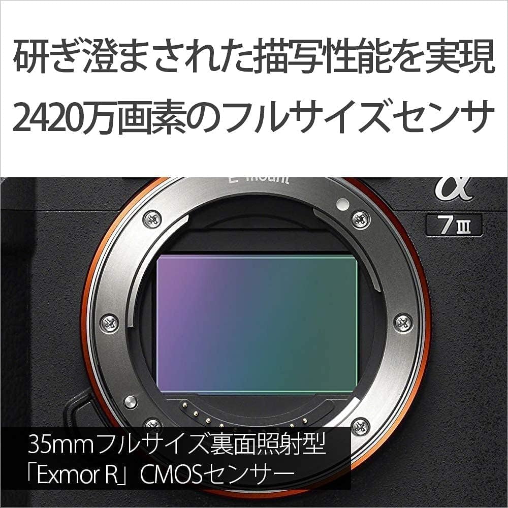 소니 알파 7 III 미러리스 카메라 SEL24105G 렌즈킷 이미지 4
