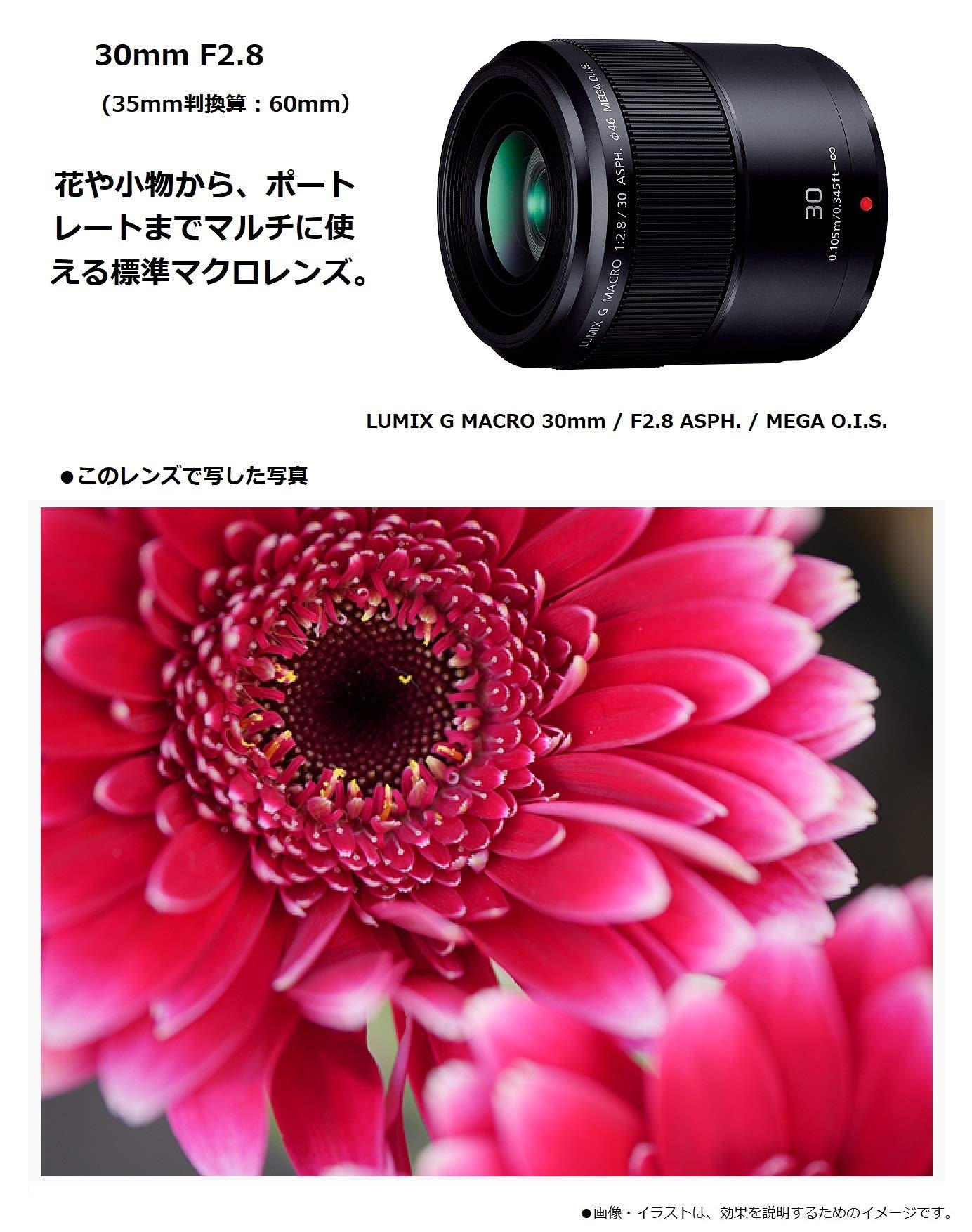 파나소닉 루믹스 G MACRO 30mm F2.8 H-HS030 블랙 매크로 단렌즈 이미지 3