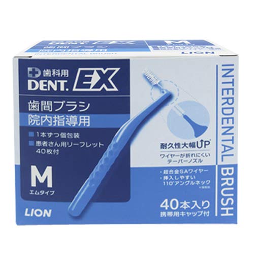 라이온 DENT EX 치간칫솔 블루 M 40입