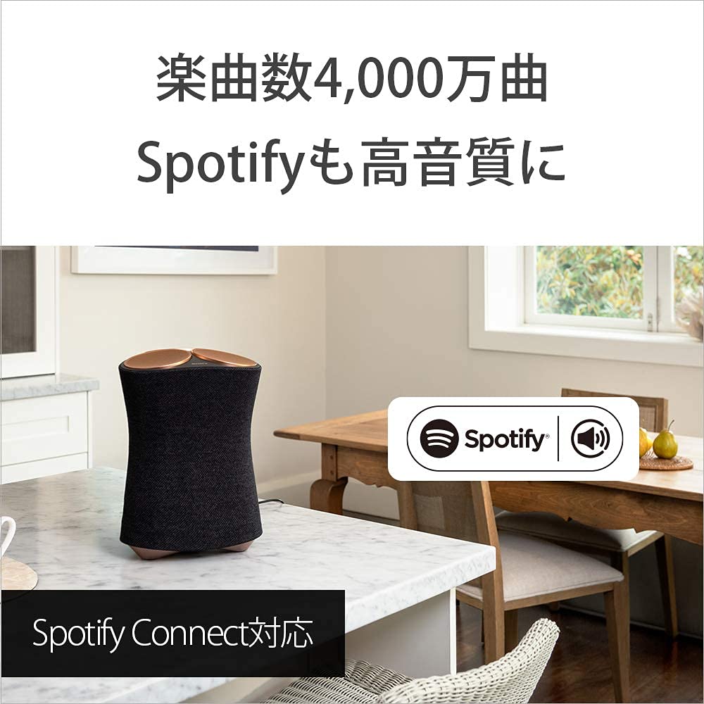 소니 SRS-RA5000 무선 스피커 이미지 11