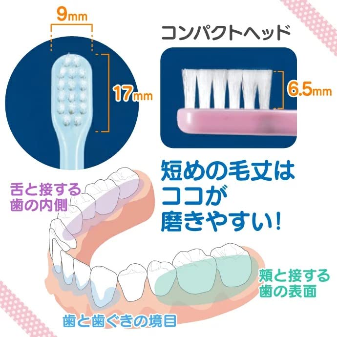 Ci메디컬 리사와 가스파르 Ci602 마무리 칫솔 20입 이미지 3