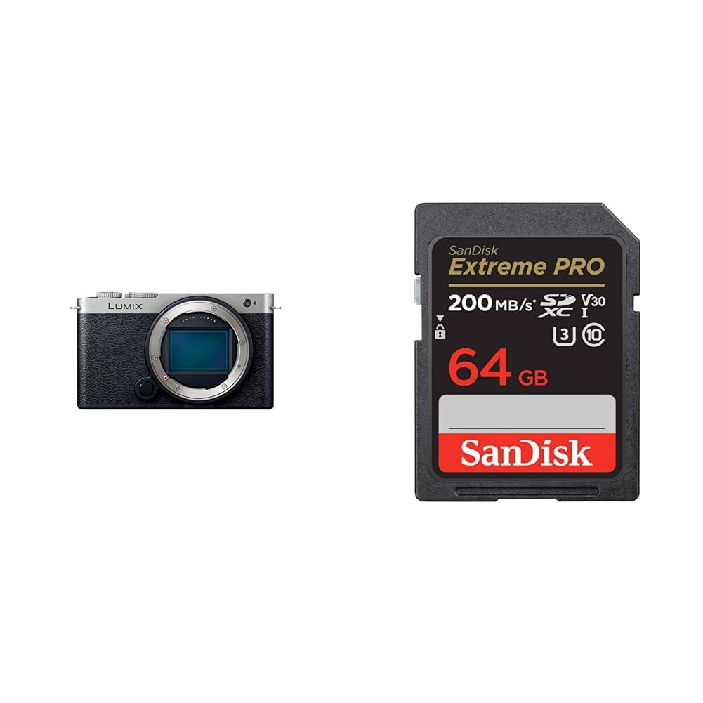 파나소닉 루믹스 DC-S9-S 다크실버 64GB 미러리스 카메라