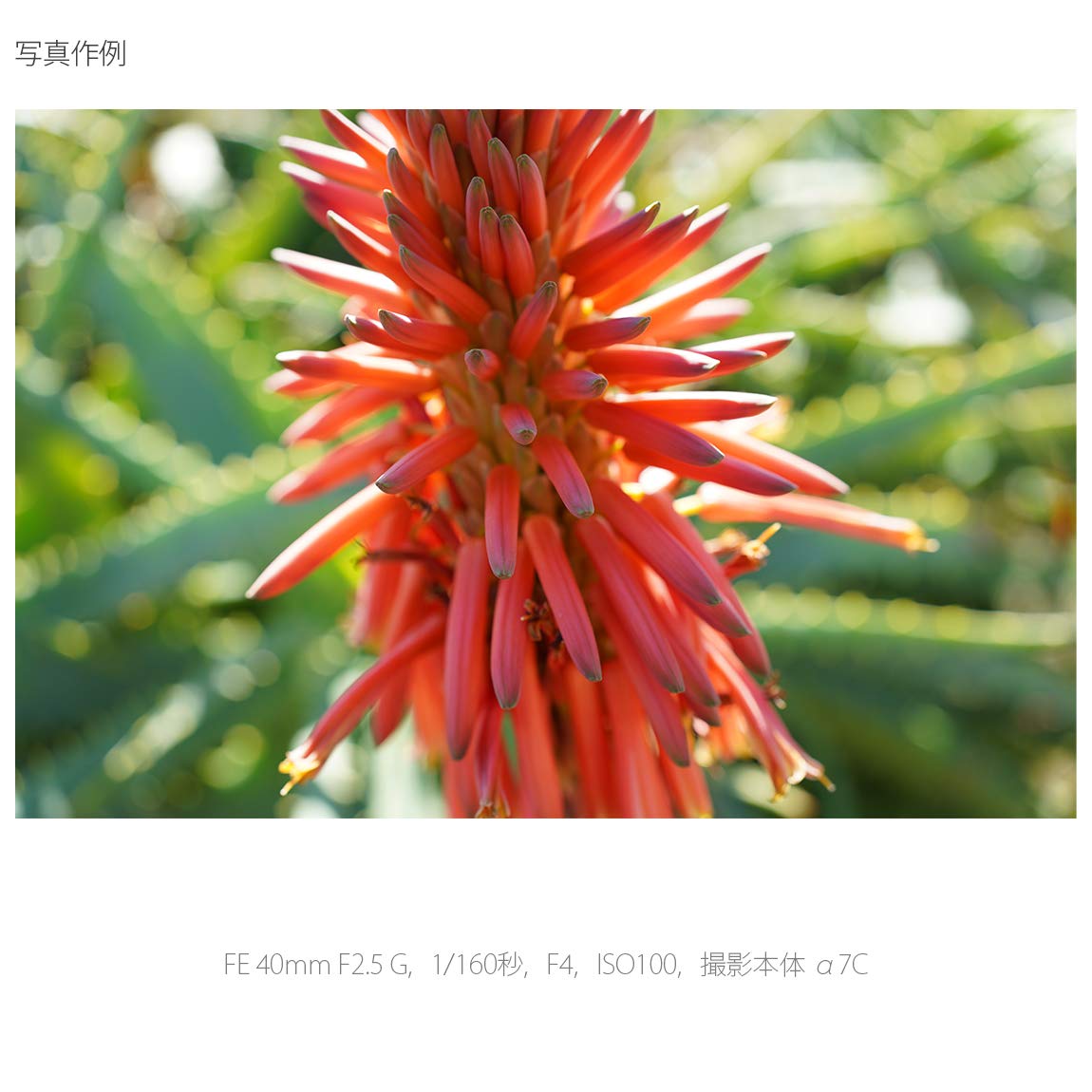 소니 알파  7C II 블랙 ILCE-7CM2 SEL40F25G 렌즈 키트 이미지 8
