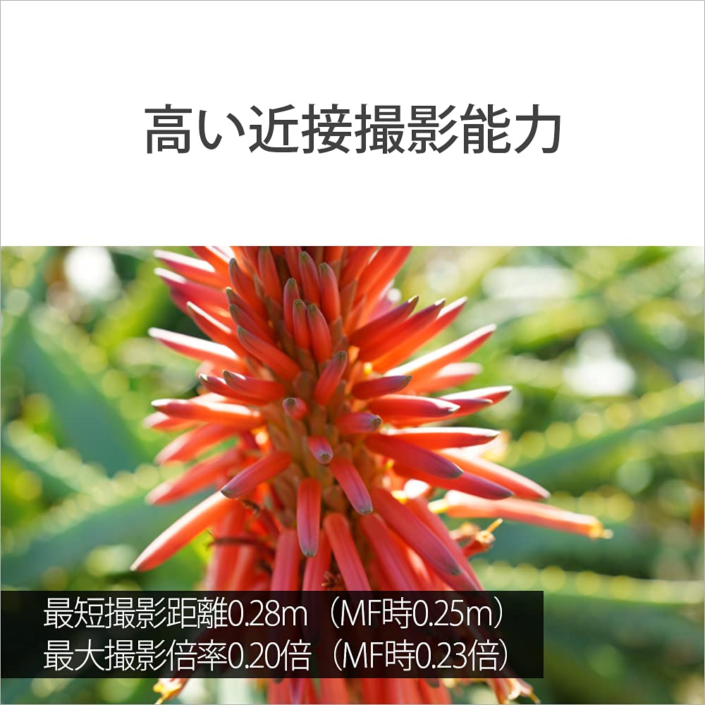소니 알파  7C II 블랙 ILCE-7CM2 SEL40F25G 렌즈 키트 이미지 14