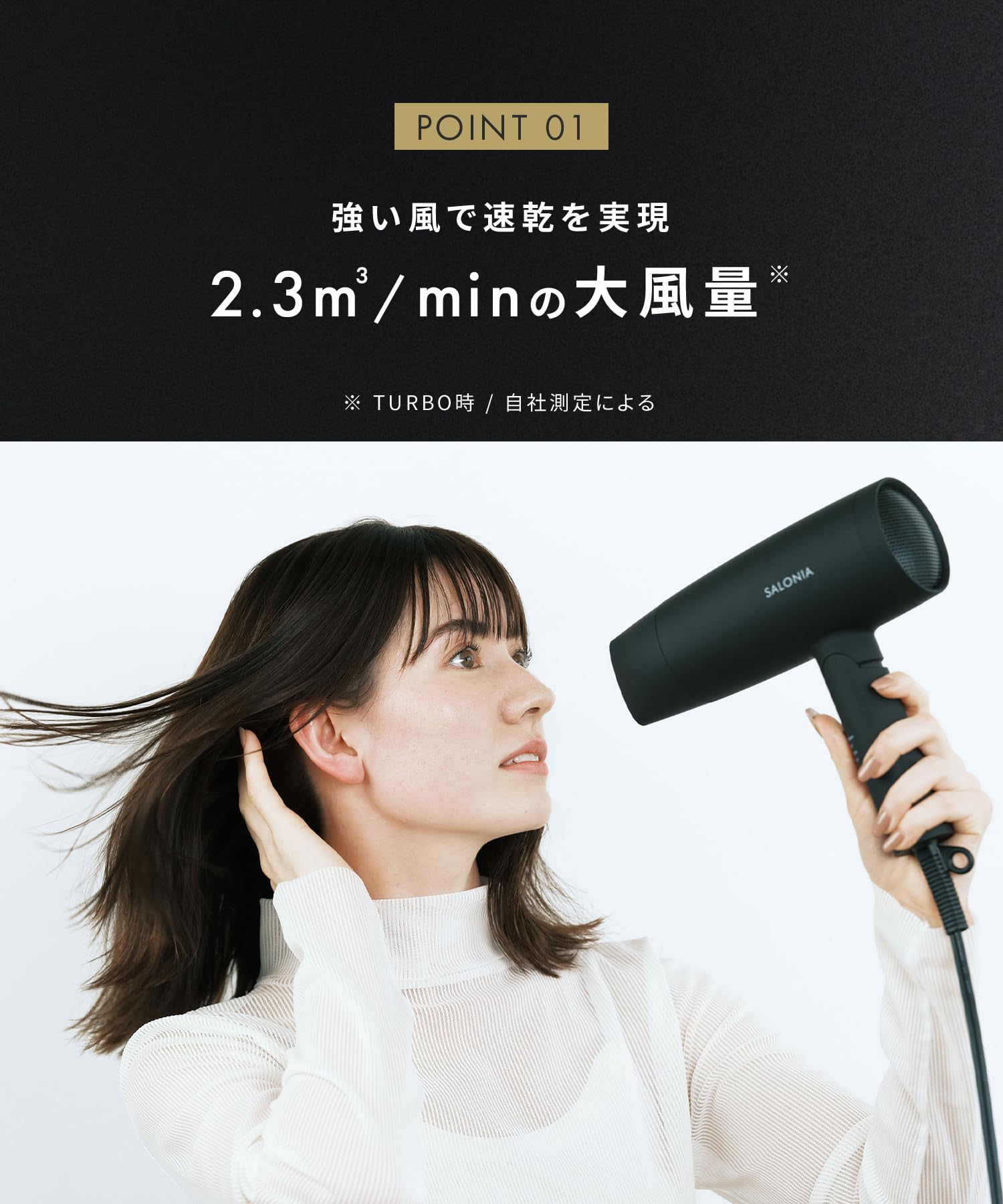 살로니아 스피디 이온 샴페인레드 SAL25220XR 헤어드라이어 이미지 10