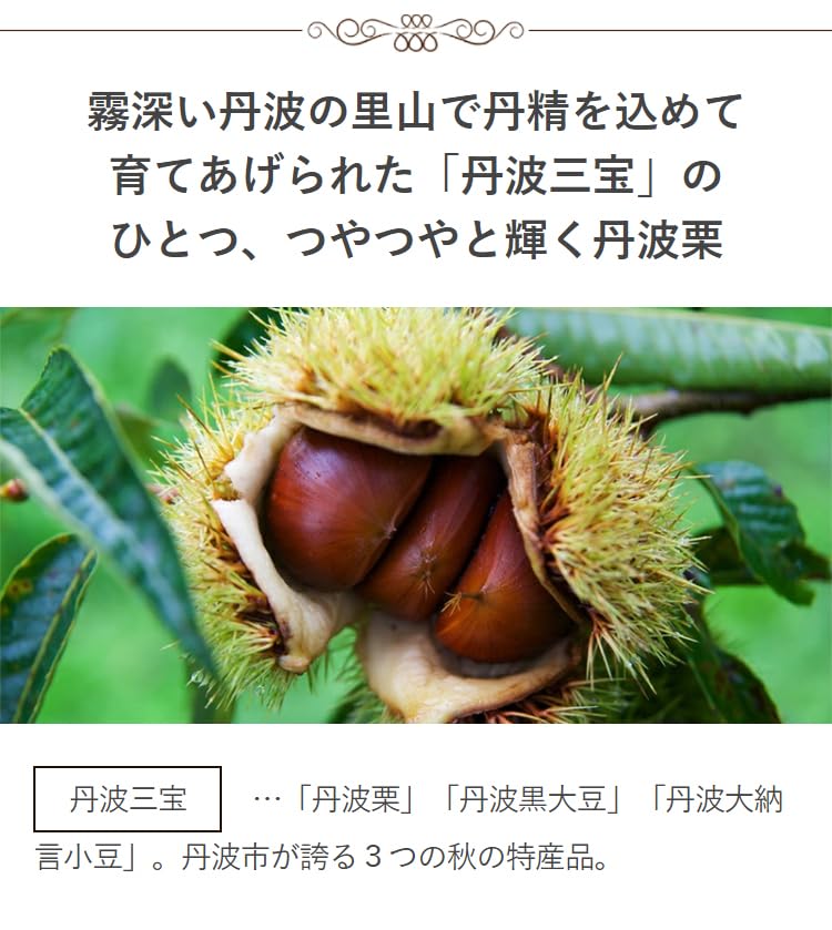 앙리 샤르팡티에 효고 오국풍요 단바 밤 마롱 케이크 16개입 선물세트 이미지 6