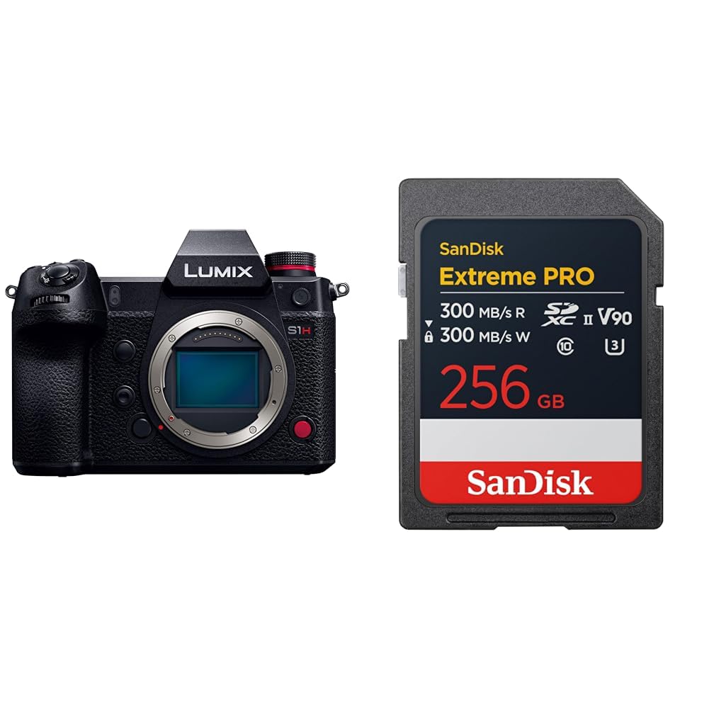 파나소닉 루믹스 DC-S1H-K 블랙 바디 256GB