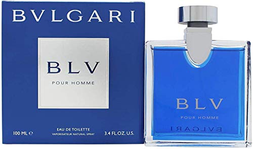 불가리 블루 옴므 오드뚜왈렛 100ml 이미지 2