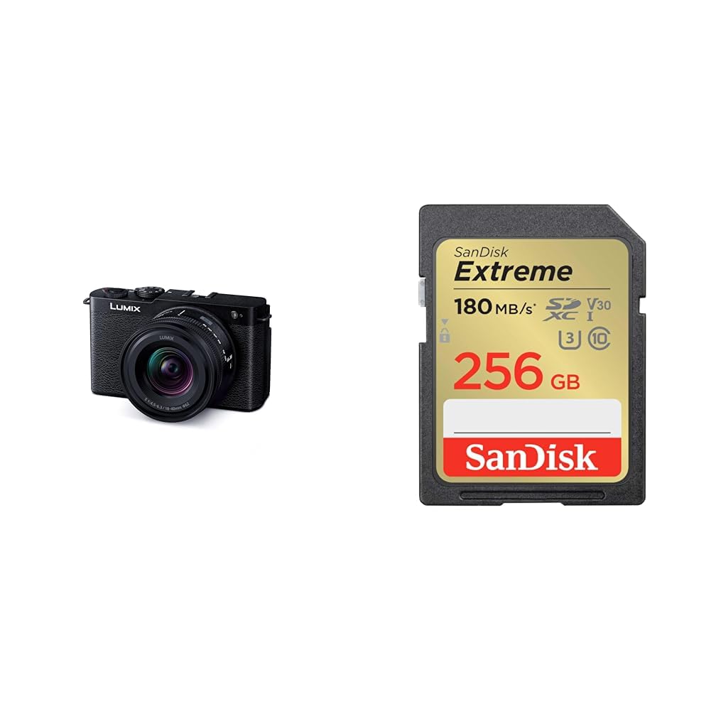 파나소닉 루믹스 제트블랙 DC-S9N-K 256GB 미러리스 카메라