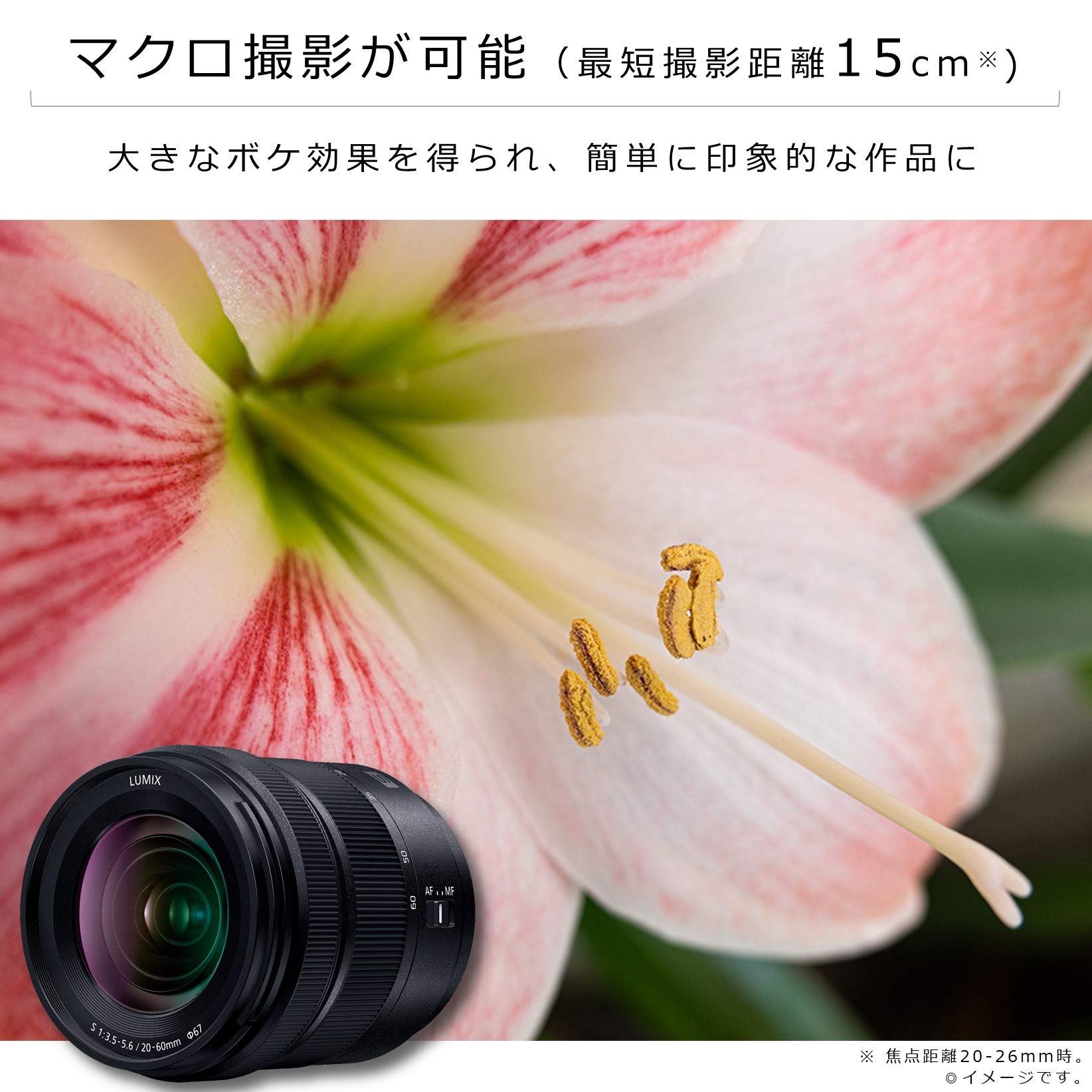 파나소닉 루믹스 S 20-60mm 렌즈 필터 세트 S-R2060 이미지 4