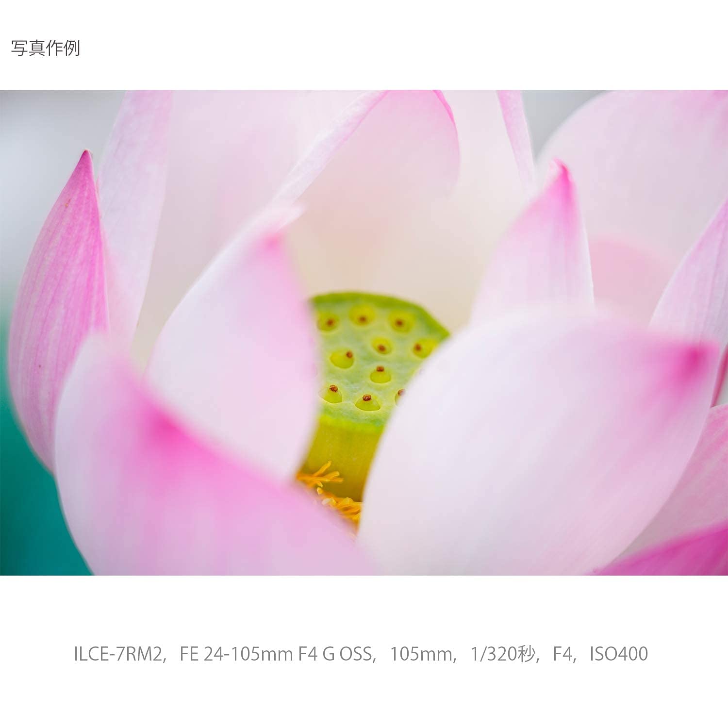 소니 알파  7C II 블랙 ILCE-7CM2 표준 줌 렌즈 키트 SEL24105G 이미지 13