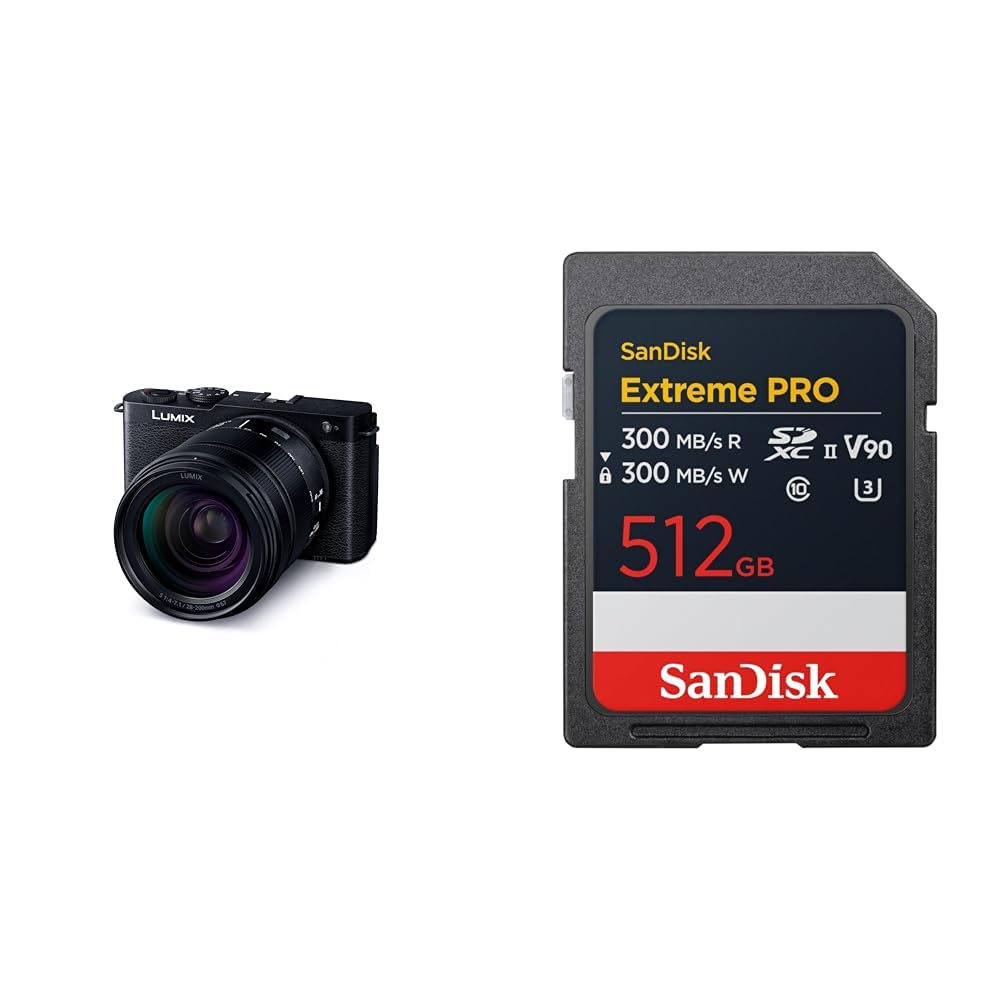 파나소닉 루믹스 DC-S9H-K 제트블랙 줌렌즈킷 512GB