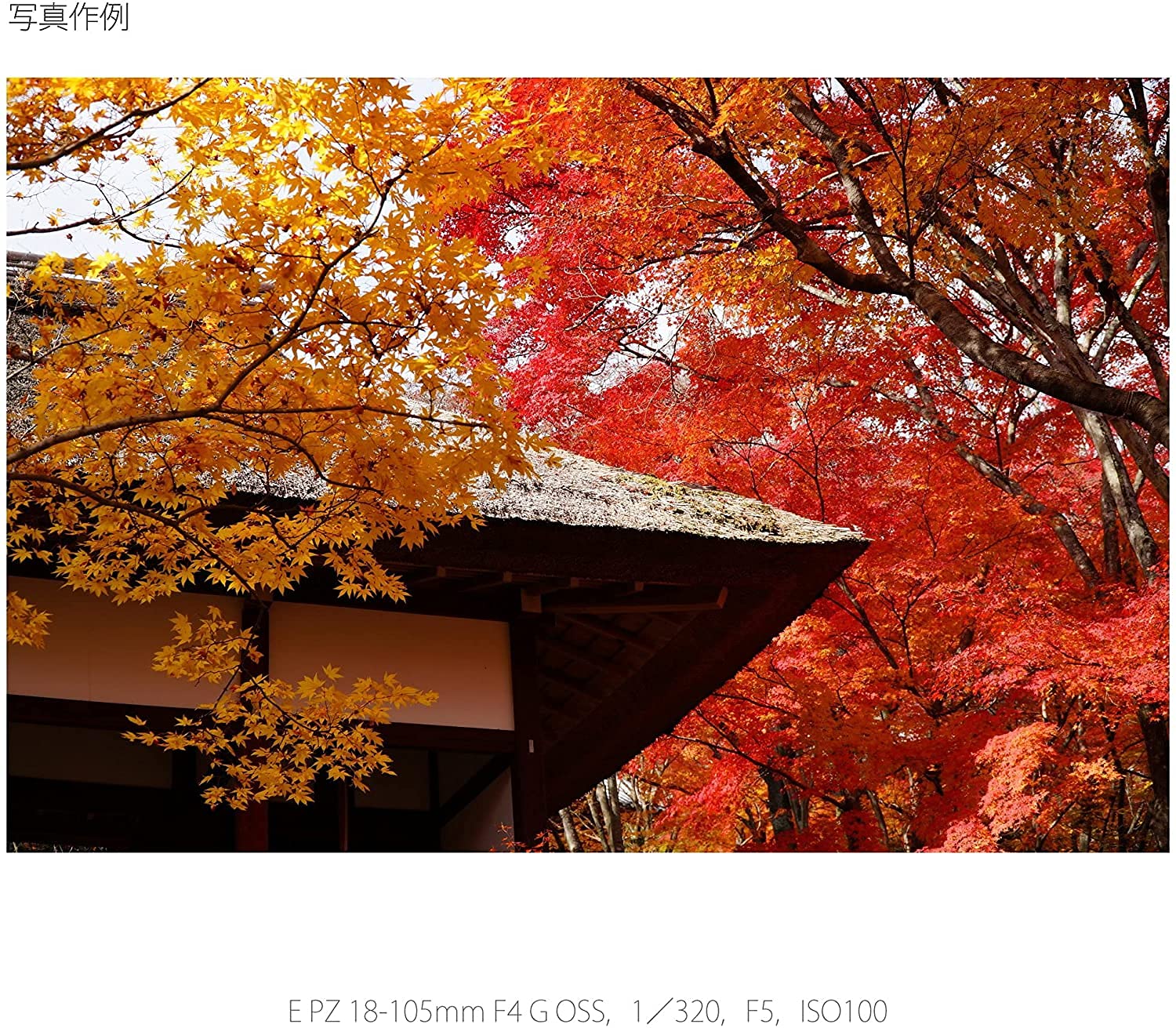 소니 G렌즈 E PZ 18-105mm F4 G OSS SELP18105G 표준 줌렌즈 이미지 3