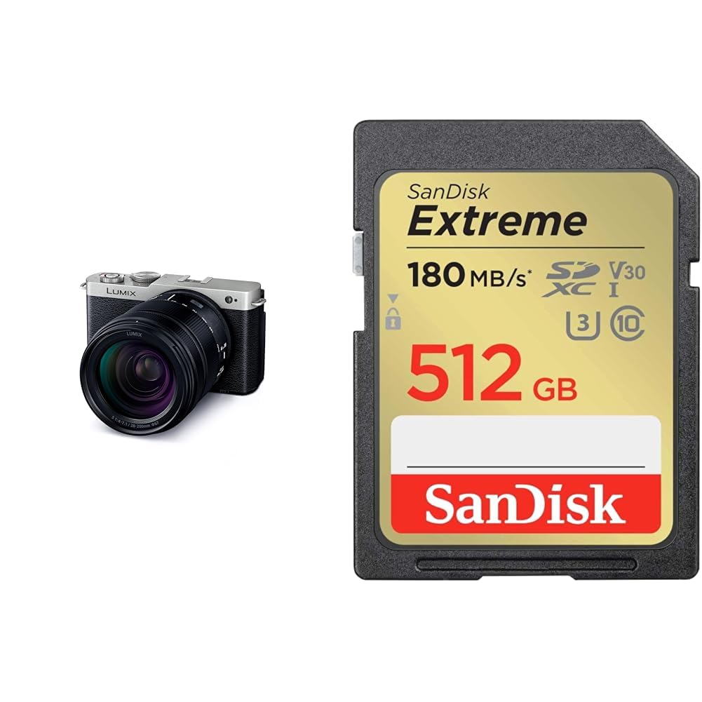 파나소닉 루믹스 다크실버 DC-S9H-S 512GB 풀프레임 미러리스 카메라