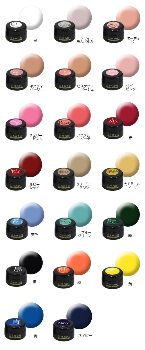 프리젤 컬러Ex 블랙 PG-CE111 4g 컬러젤
