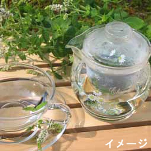 야마카 셀렉 GV-2 내열유리 티포트 460ml 이미지 3