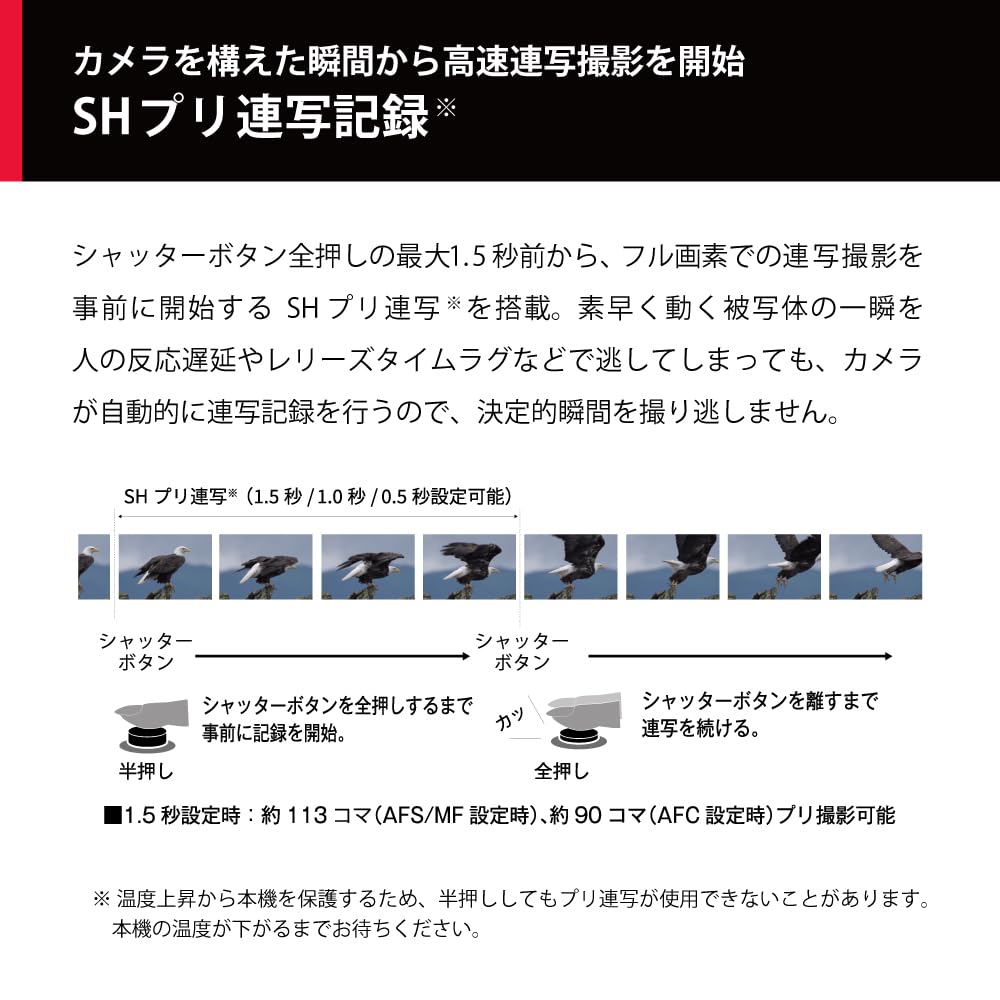 파나소닉 루믹스 G9M2 미러리스 카메라 100-300mm 렌즈 세트 초망원 줌 렌즈 세트 이미지 7