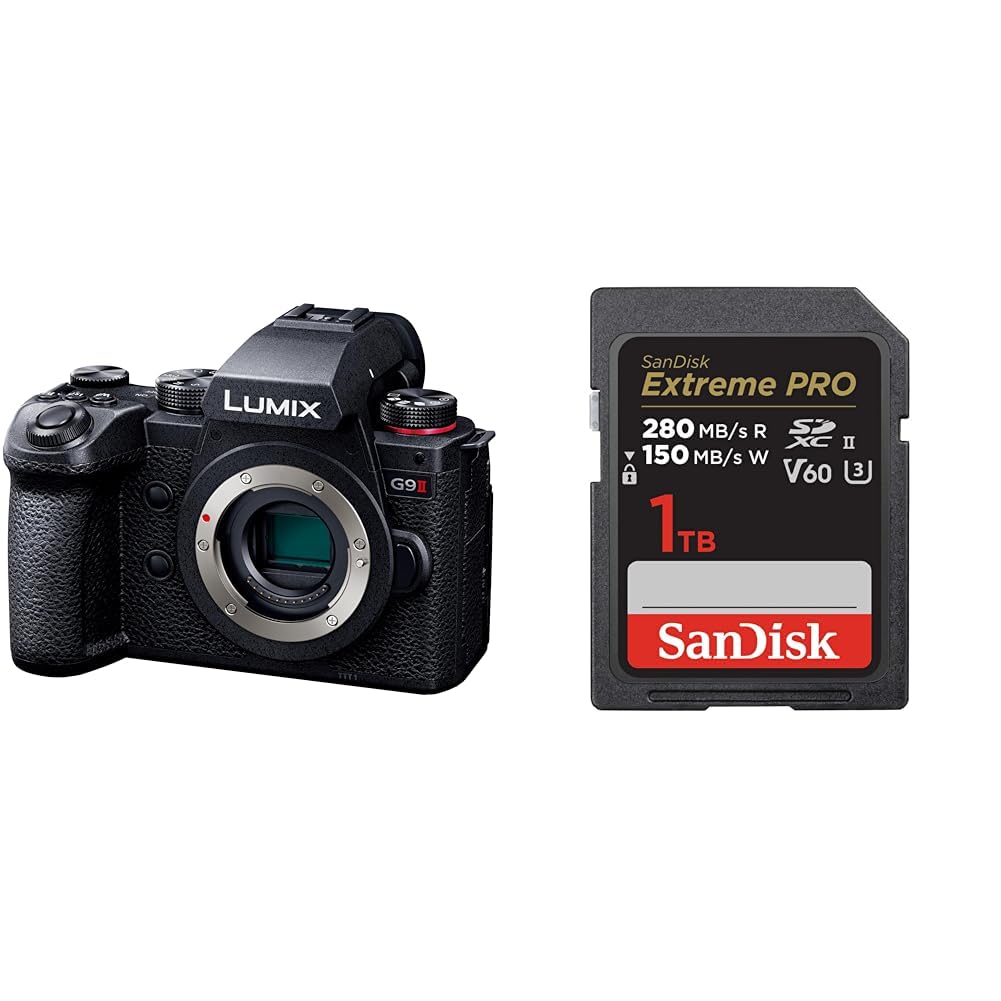 파나소닉 루믹스 DC-G9M2 블랙 바디 1TB