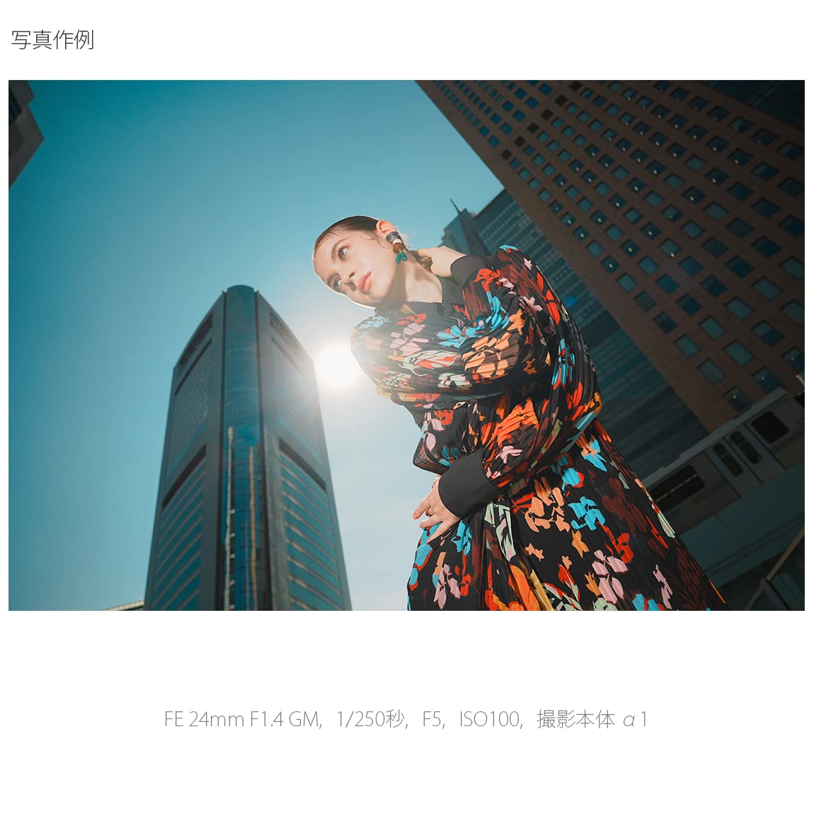[중고] 소니 HVL-F46RM 전파식 무선 외장 플래시 이미지 14