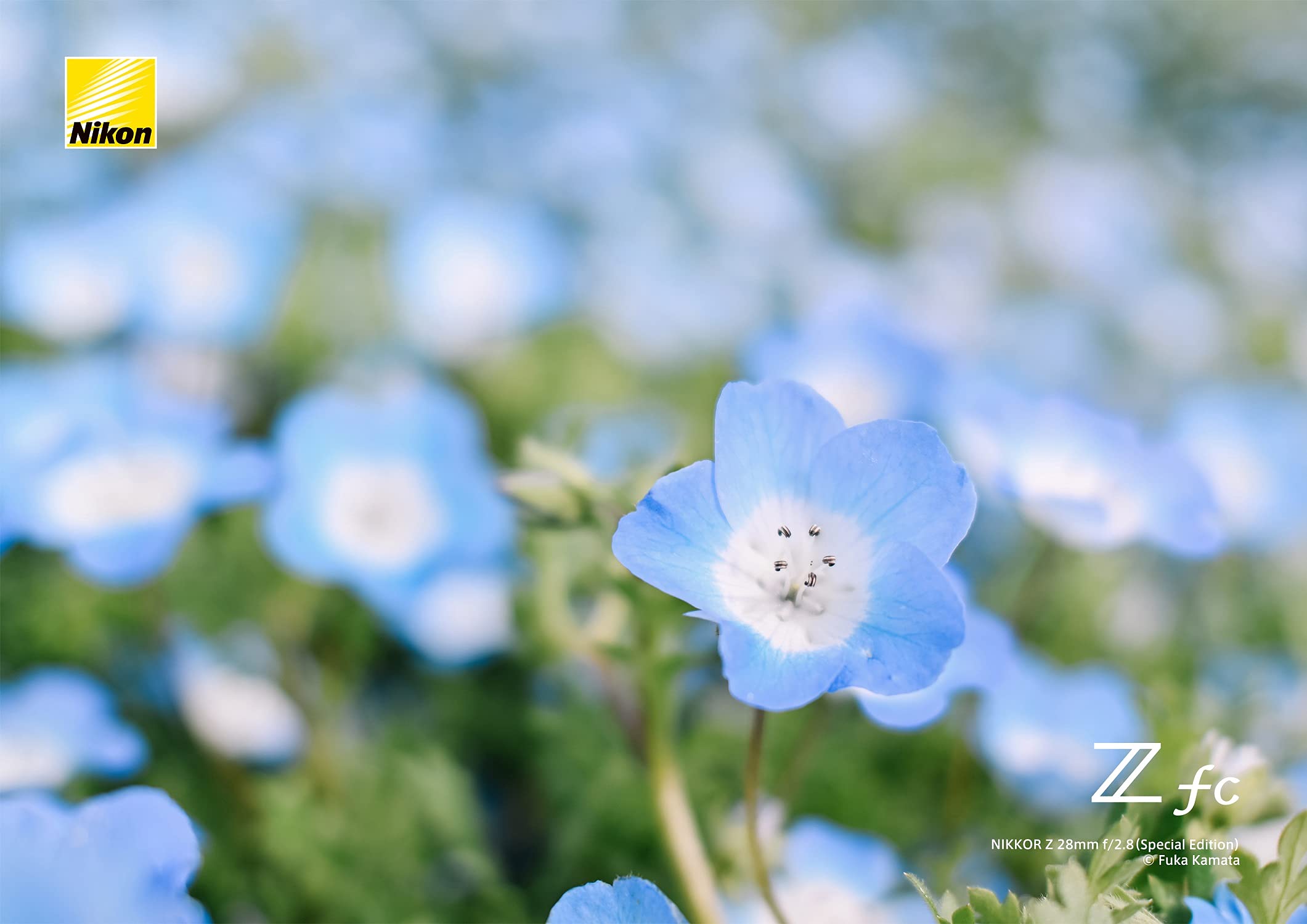 니콘 NIKKOR Z 28mm f/2.8 Special Edition 광각 헤리티지 렌즈만 이미지 8