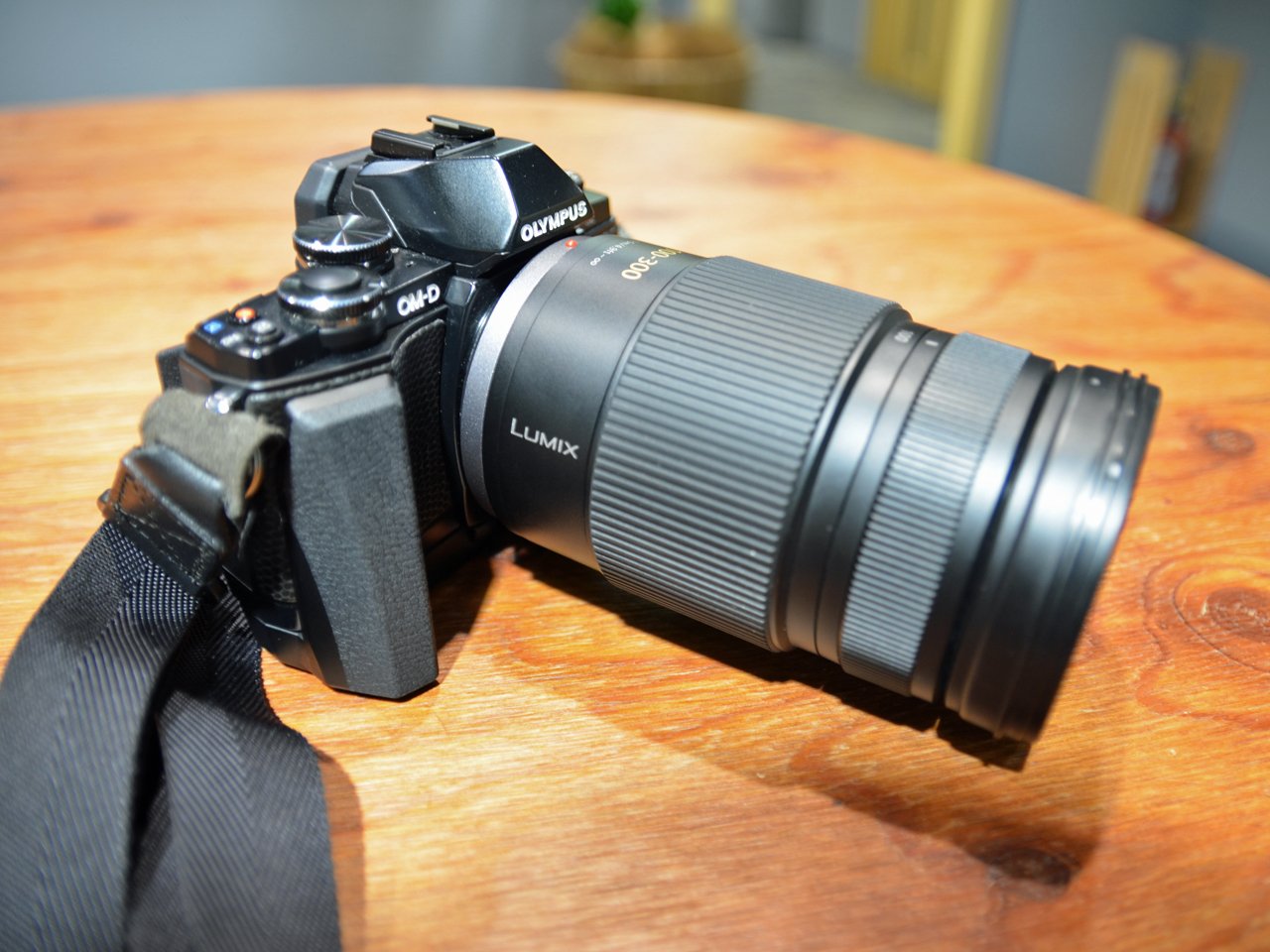 파나소닉 G VARIO H-FS100300 100-300mm F4-5.6 망원 줌렌즈 이미지 6