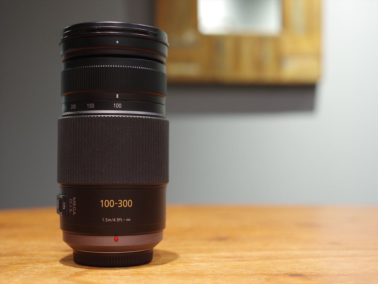 파나소닉 G VARIO H-FS100300 100-300mm F4-5.6 망원 줌렌즈 이미지 4