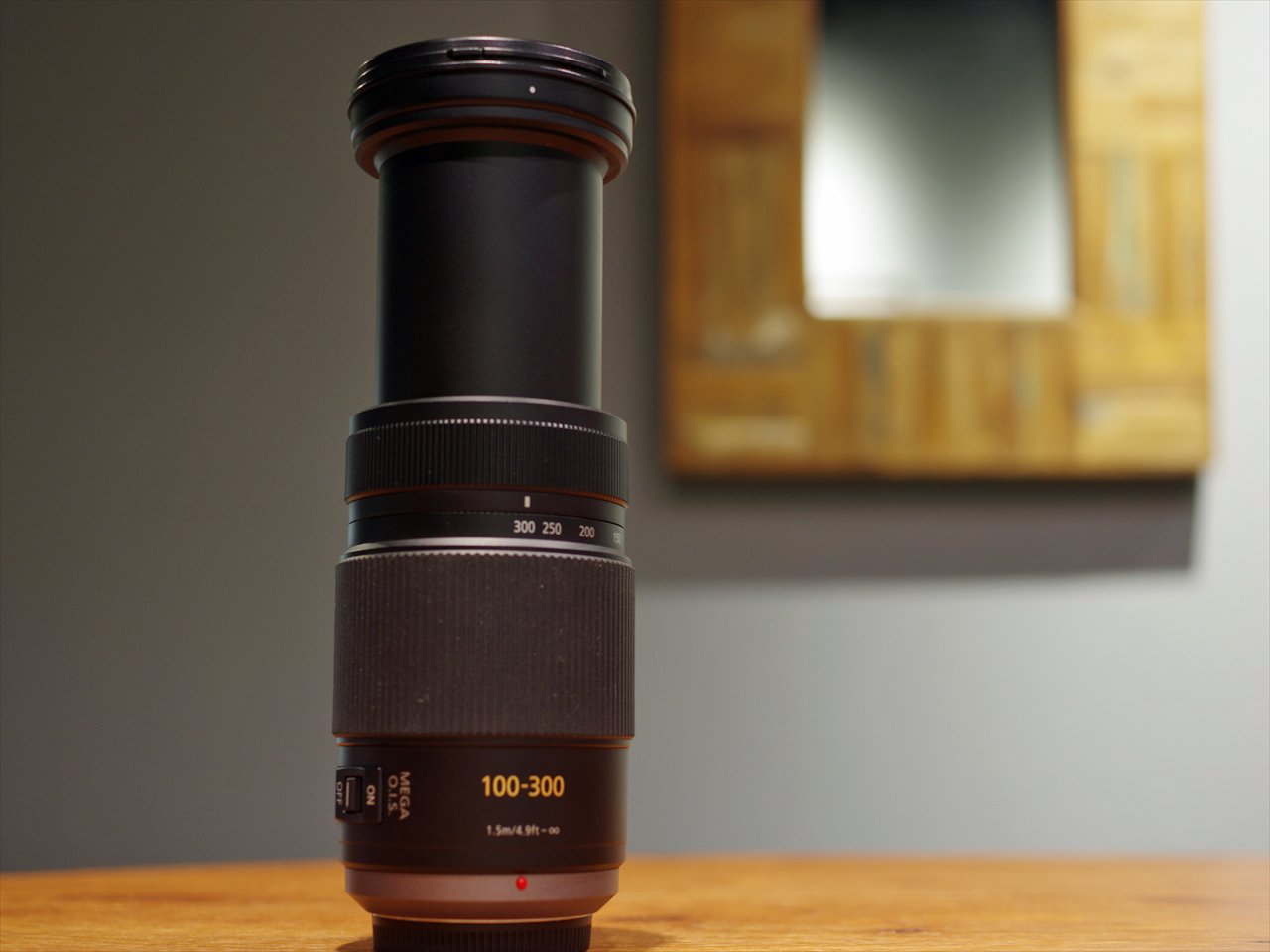 파나소닉 G VARIO H-FS100300 100-300mm F4-5.6 망원 줌렌즈 이미지 5