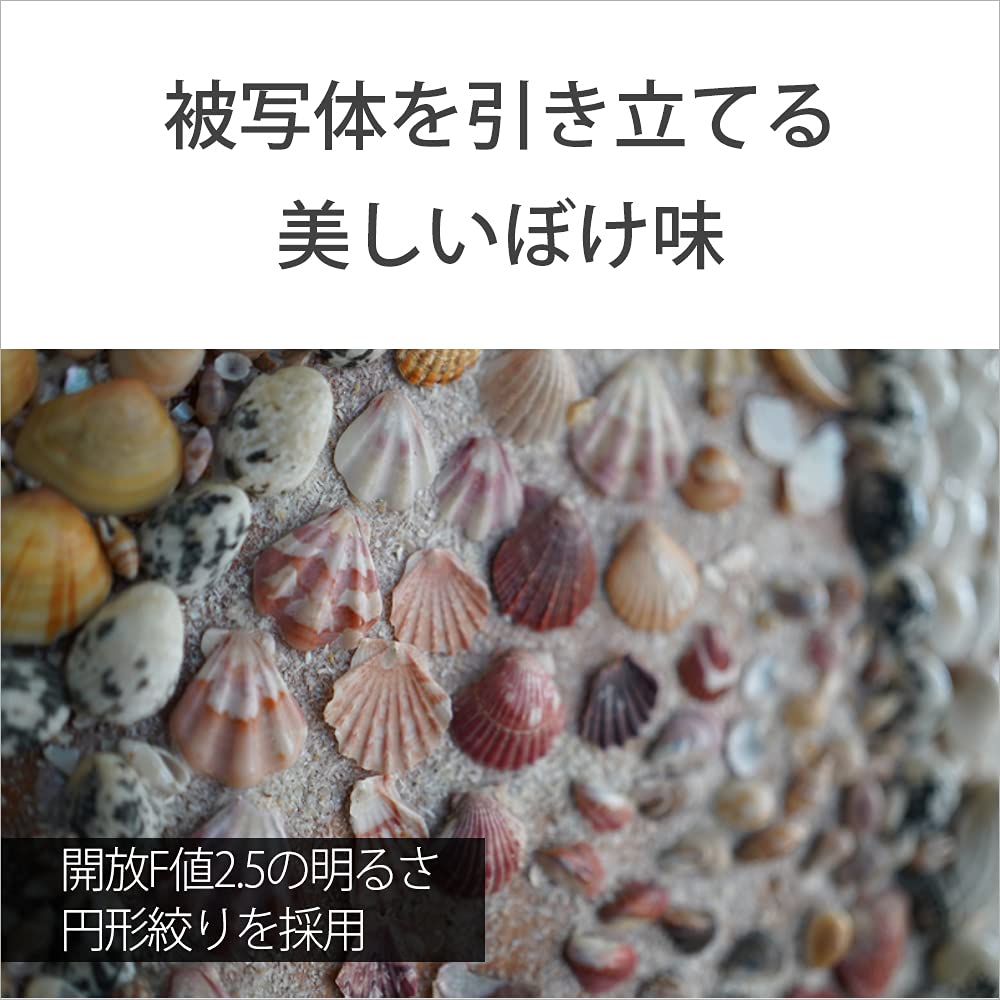 소니 알파  7C II 실버 ILCE-7CM2 SEL40F25G 렌즈 키트 이미지 13