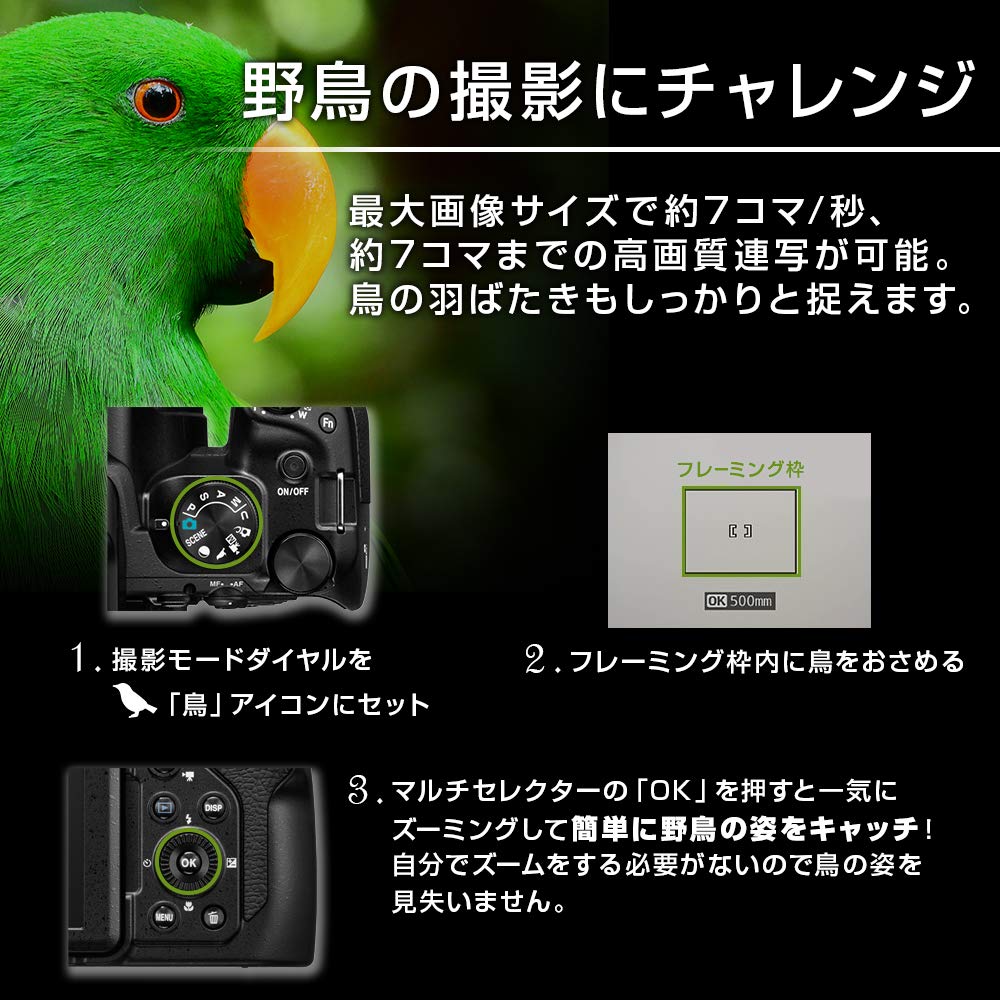 니콘 쿨픽스 P1000 블랙 디지털 카메라 카메라 단품 이미지 5