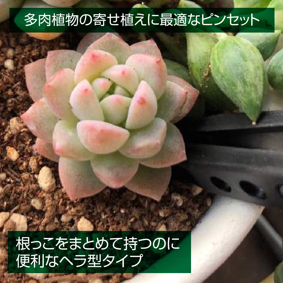 호잔 ESD 칩 핀셋 P-645-S 6mm 헤라형 핀셋 전용 선단폭:6.0mm 헤라형 이미지 4