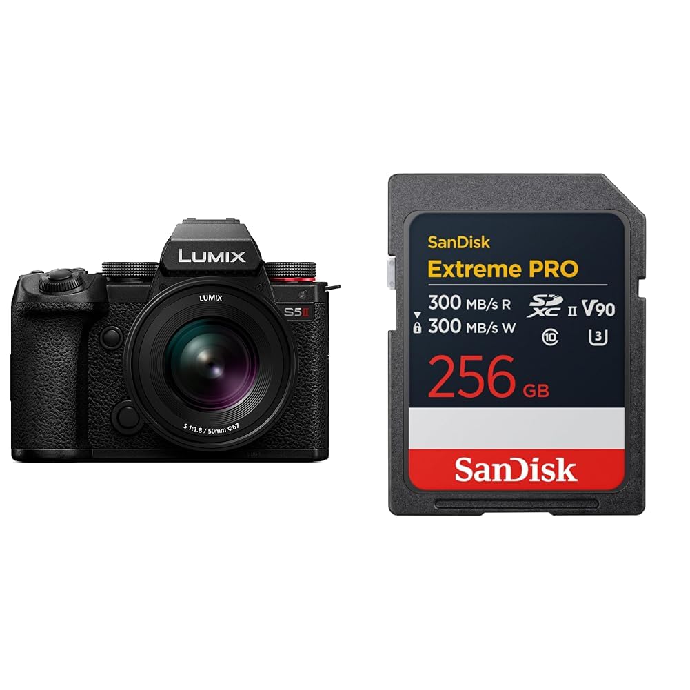 파나소닉 루믹스 DC-S5M2W 블랙 256GB 렌즈킷 Class10 이미지 1