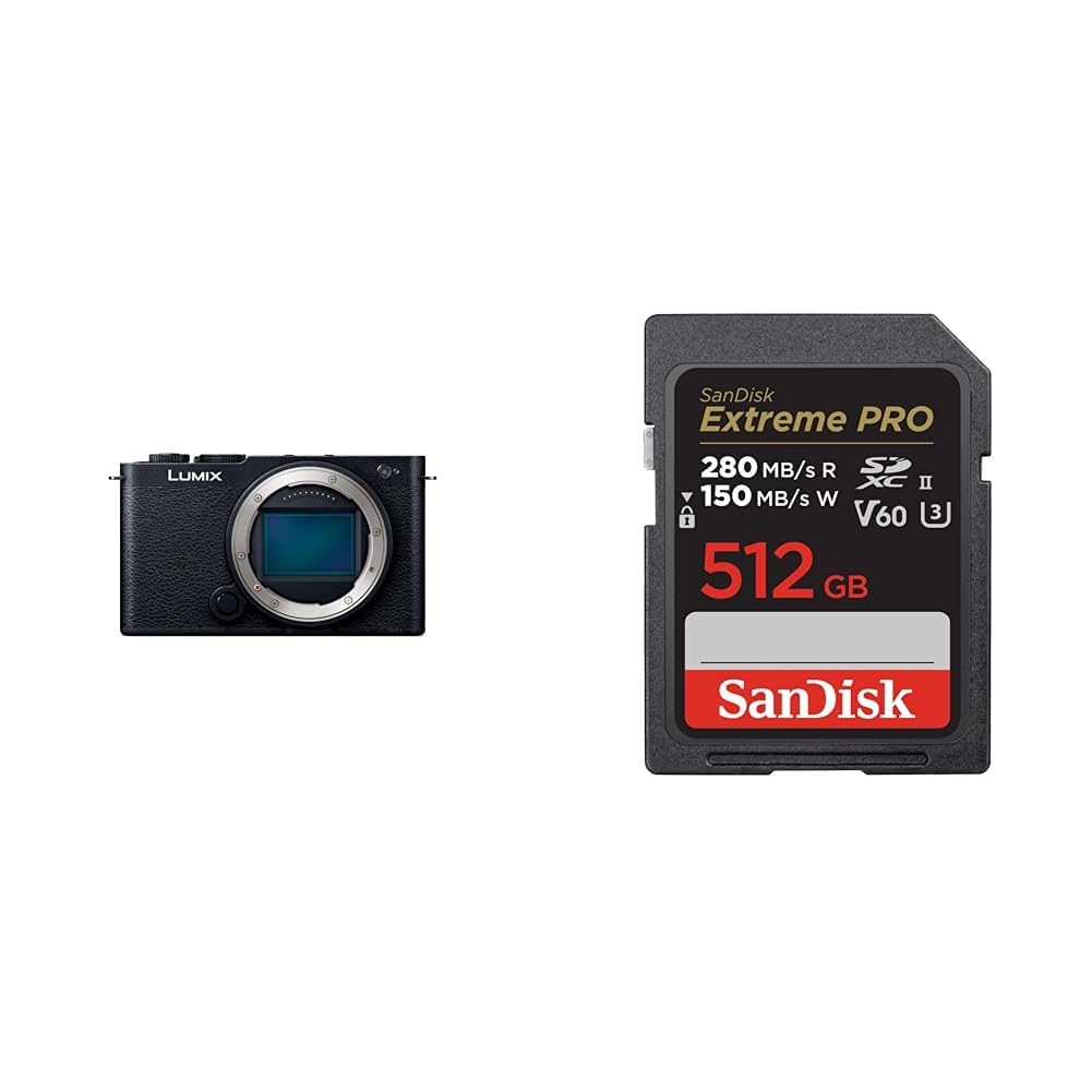 파나소닉 루믹스 DC-S9-K 제트블랙 바디 512GB V60
