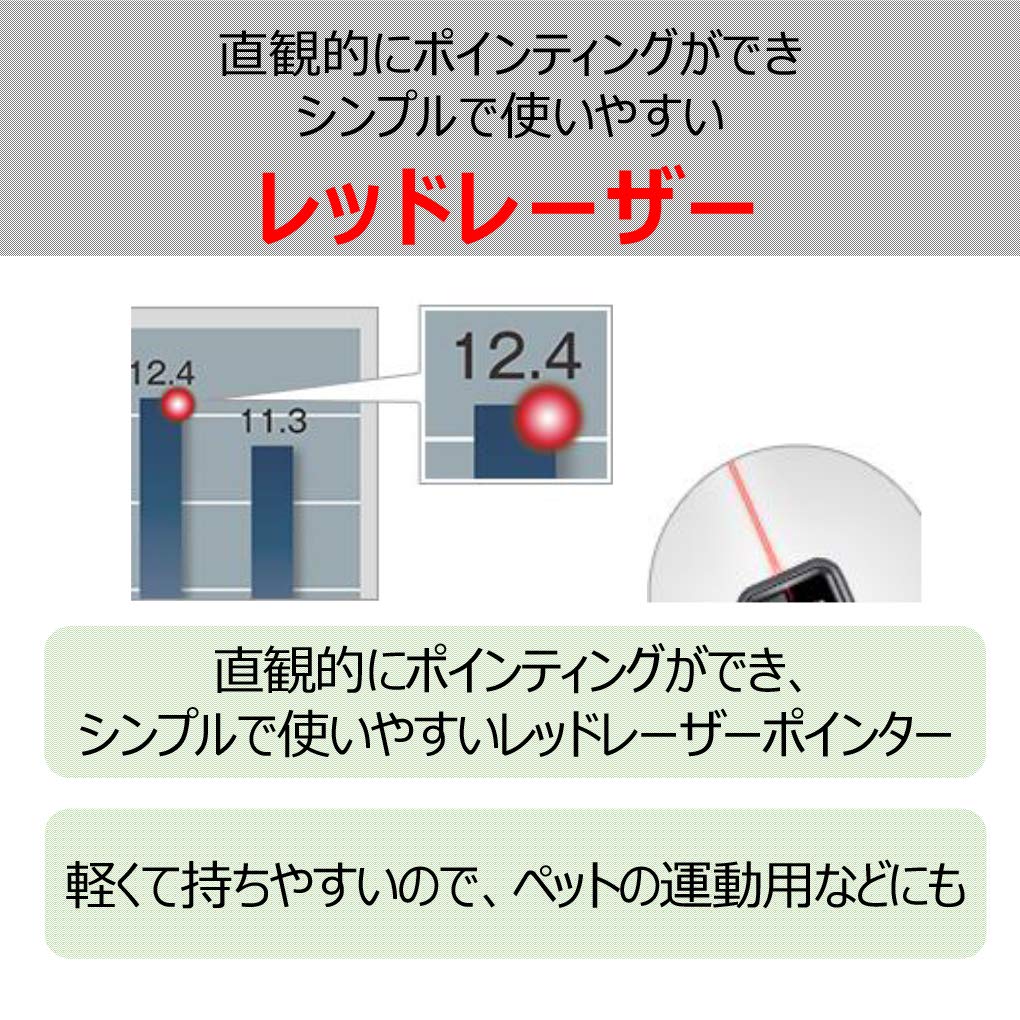캐논 PR1100-R 레드 레이저 포인터 레드 아마존 한정 이미지 3