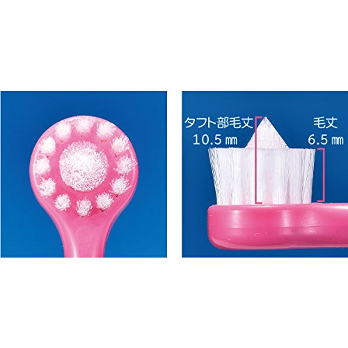 Ci메디컬 서클터프트 M 보통모 4개입 원터프트 칫솔 이미지 2