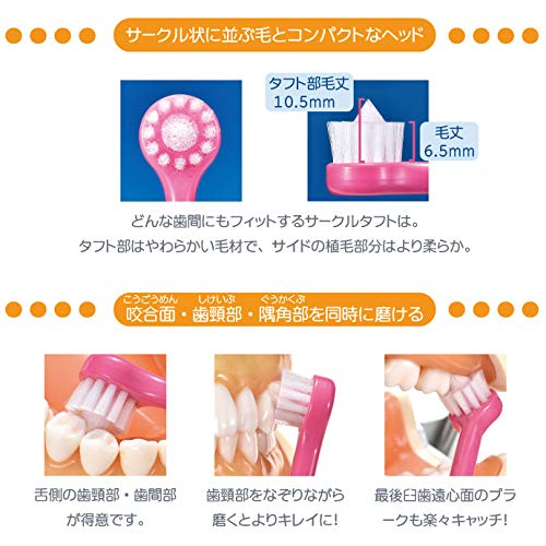 Ci메디컬 서클터프트 M 보통모 4개입 원터프트 칫솔 이미지 6