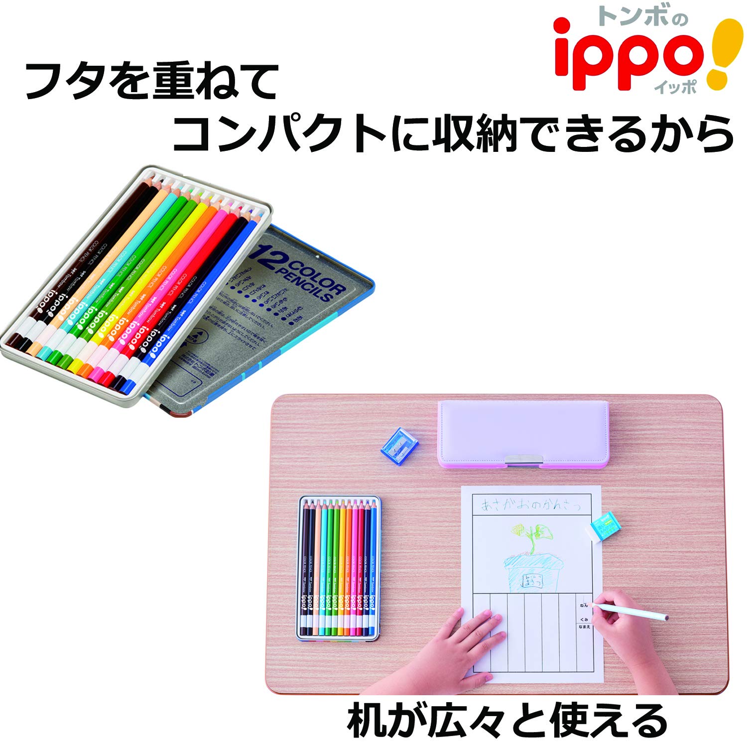 톰보 ippo 플레인 그린 CL-RPN0412C 12색 색연필 이미지 4