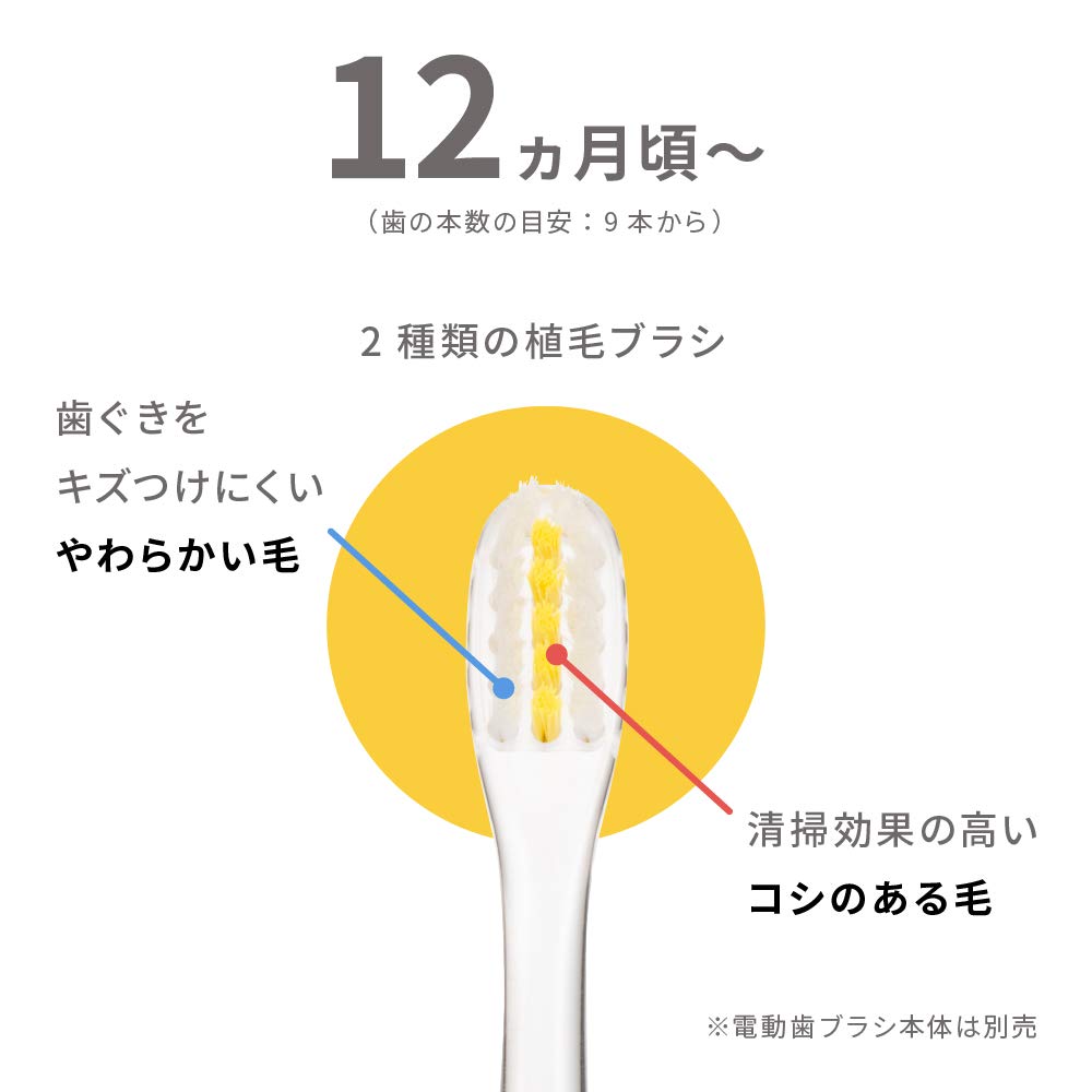 피죤 처음하는 마무리 전동칫솔 교체용 브러시 12개월 이미지 3
