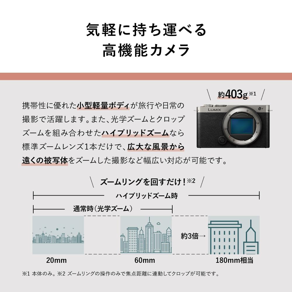 [중고] 파나소닉 루믹스 DC-S9N-N 티탄골드 풀프레임 미러리스 광각줌렌즈킷 이미지 7