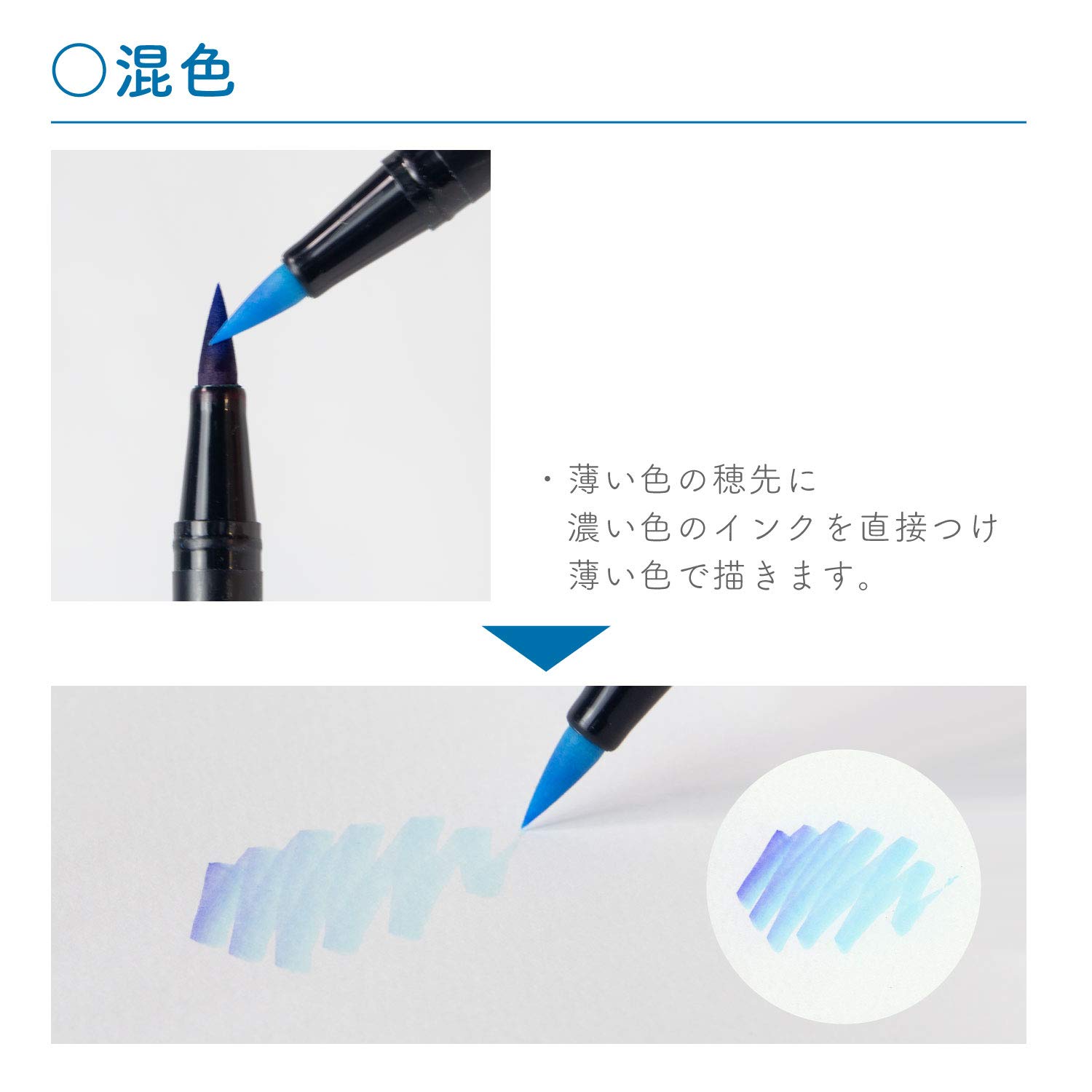 톰보 ABT 듀얼 브러쉬펜 포트레이트 AB-T12CPO 12색 M.12색 세트 포트레이트 이미지 8