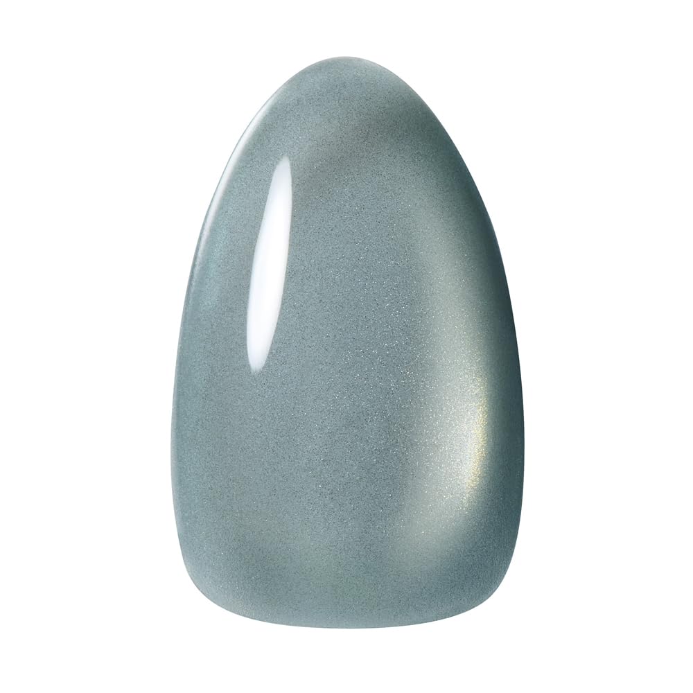코코이스트 테라 마그넷 TM-56 테라블루 10g 이미지 2